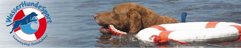 WasserHundeSport Swimming Dogs