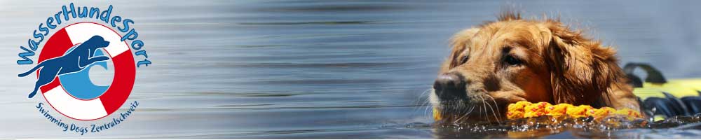 WasserHundeSport Swimming Dogs