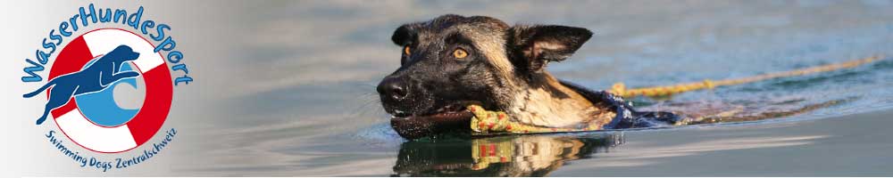 WasserHundeSport Swimming Dogs