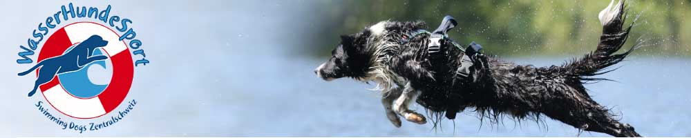 WasserHundeSport Swimming Dogs