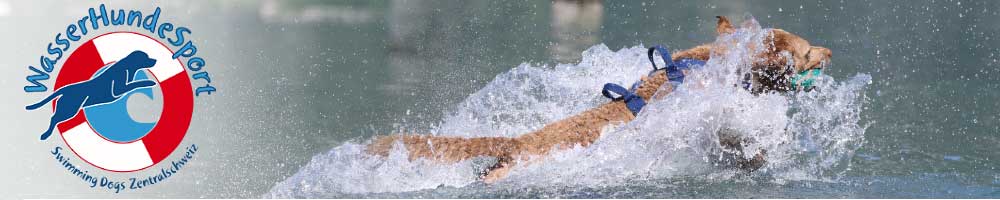 WasserHundeSport Swimming Dogs