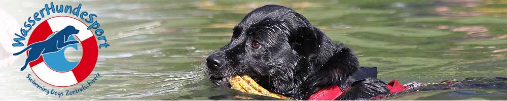 WasserHundeSport Swimming Dogs