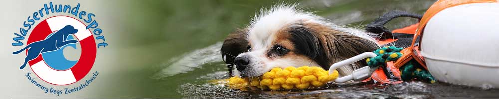 WasserHundeSport Swimming Dogs
